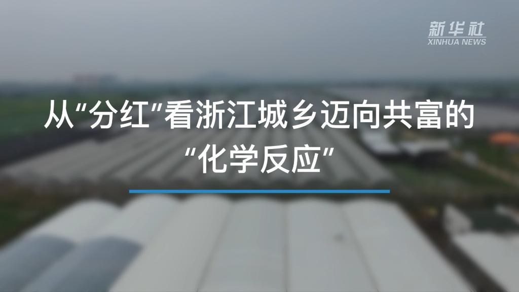 奮進(jìn)新征程 建功新時代｜從“分紅”看浙江城鄉(xiāng)邁向共富的“化學(xué)反應(yīng)”